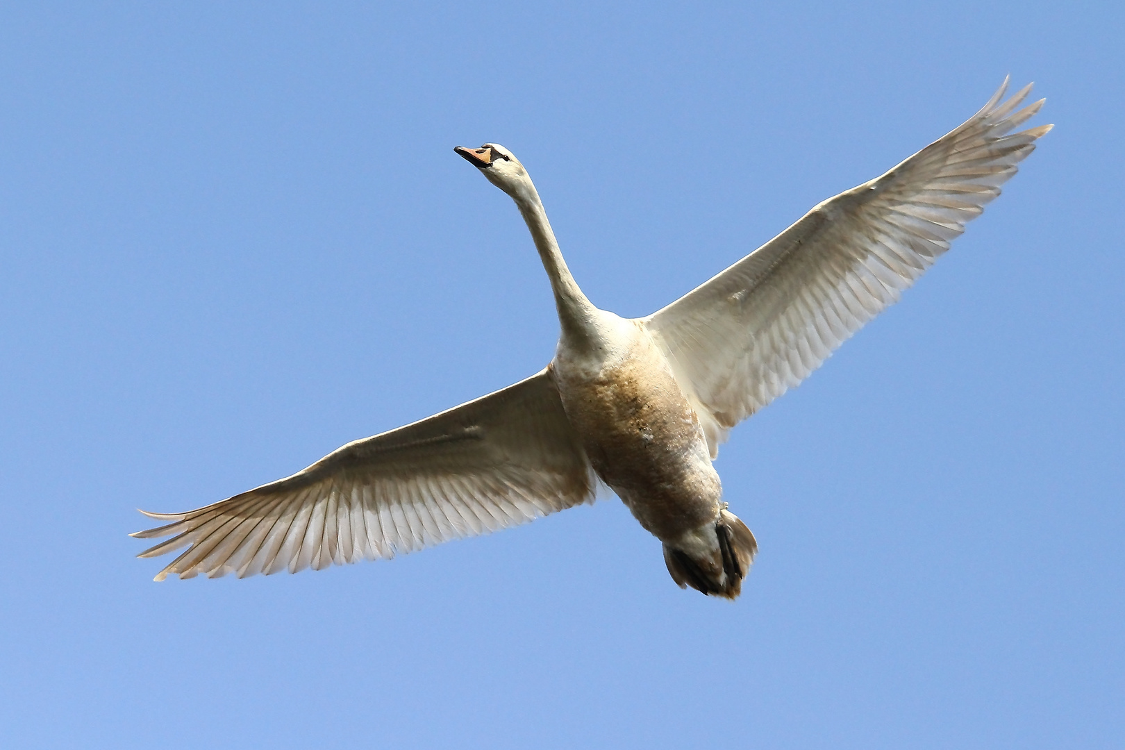 Abflug ins Wochenende