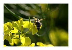 Abflug ins Wochenende