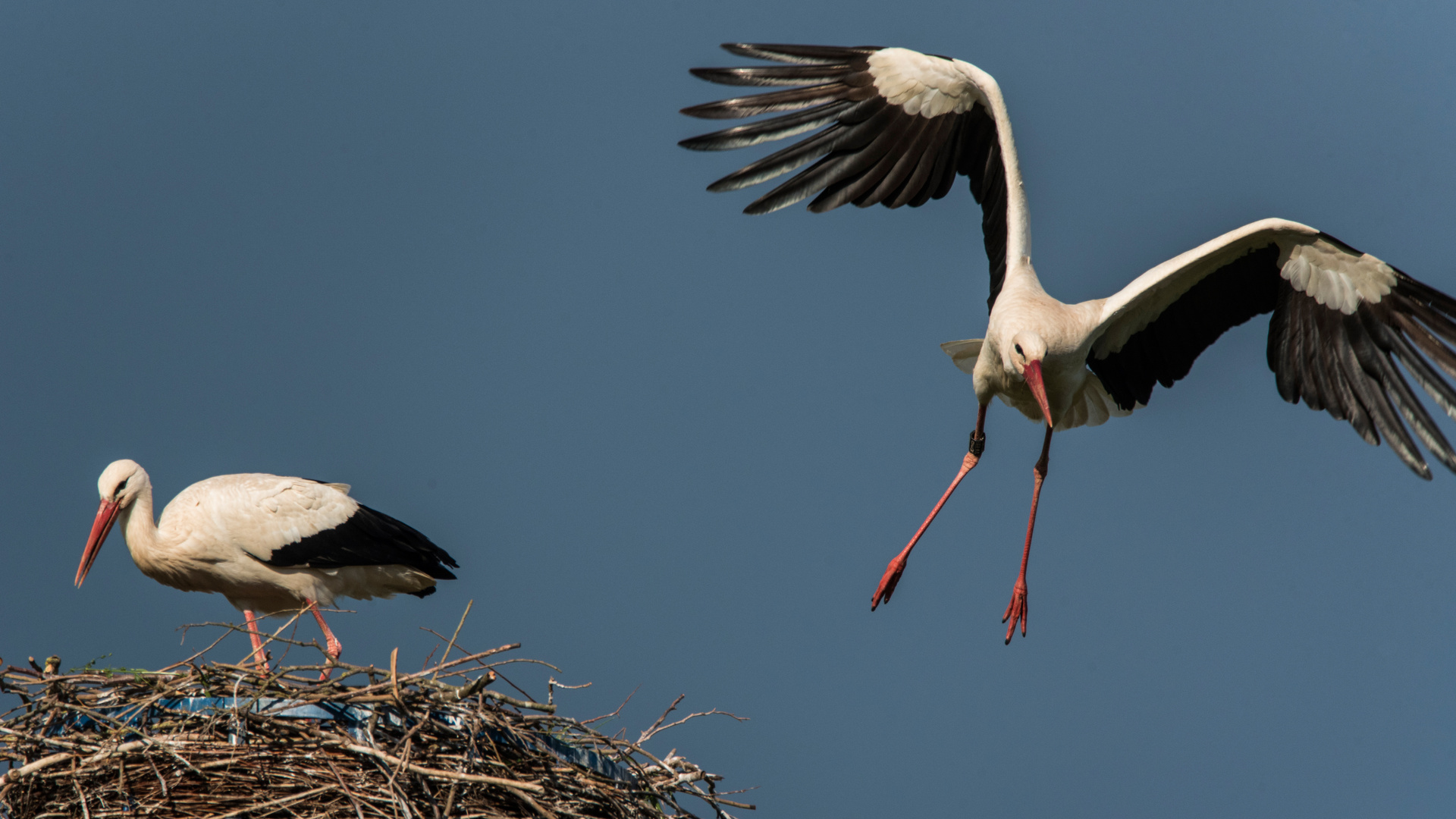 Abflug ins Wochenende