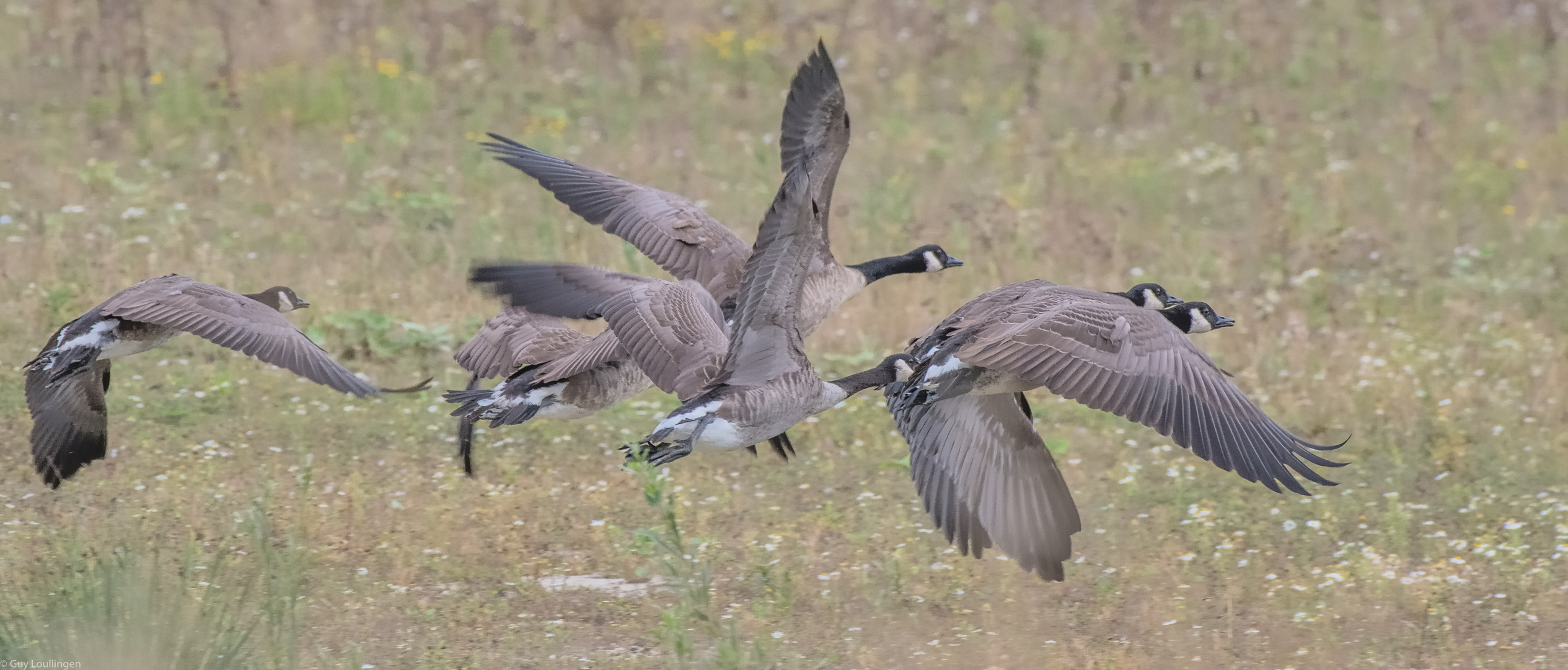 Abflug ins Wochenende