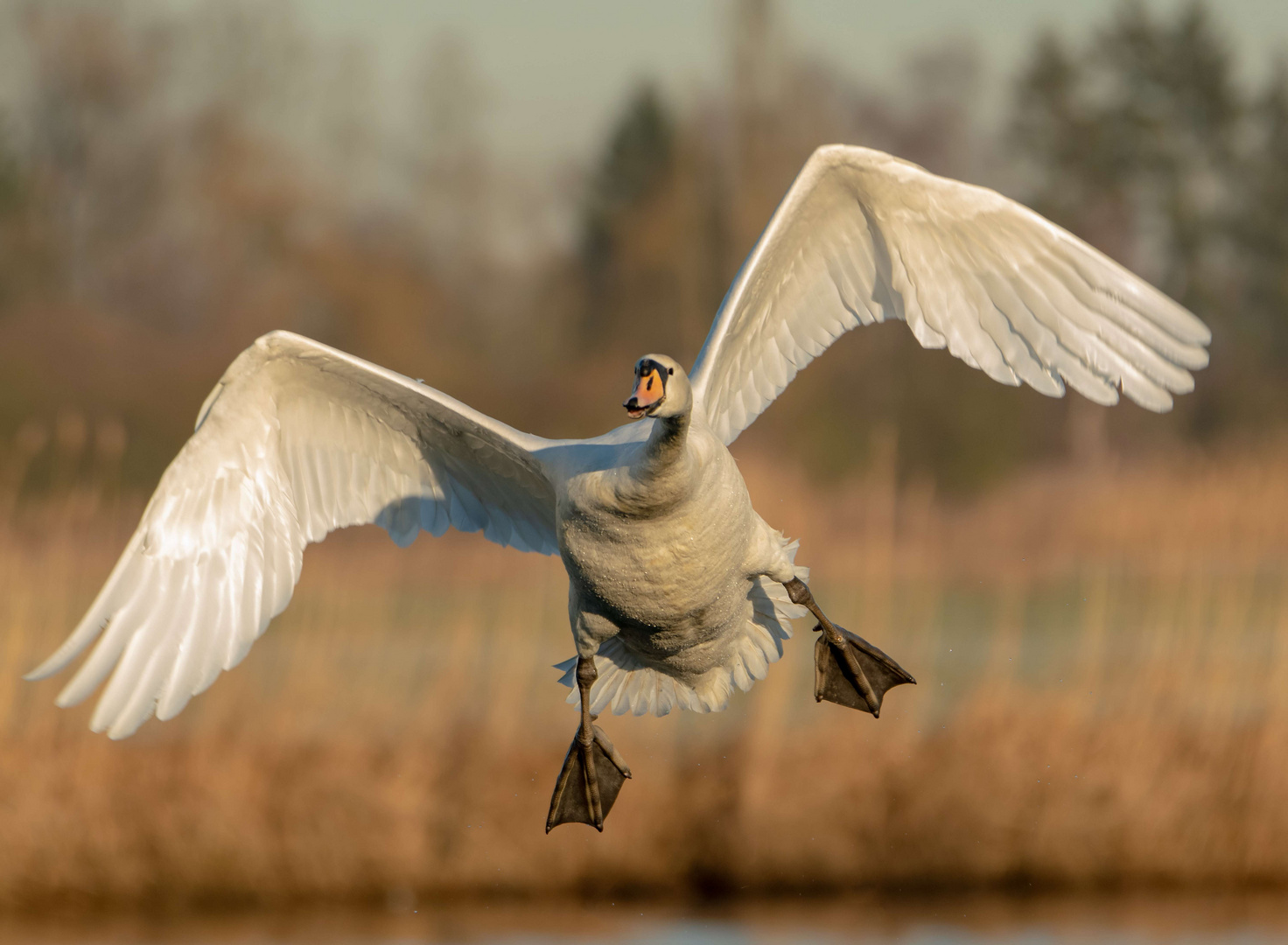 Abflug ins Wochenende