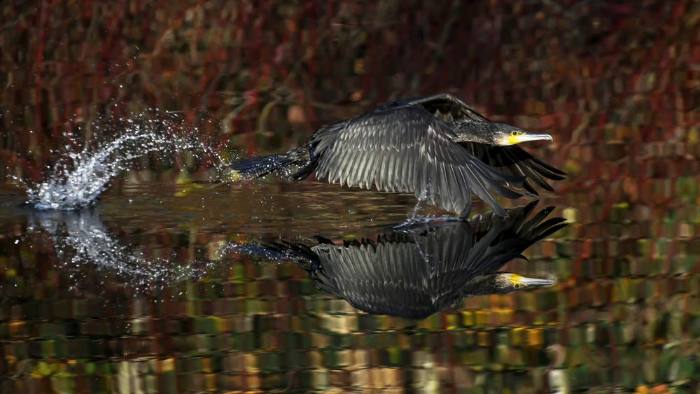 Abflug ins Wochenende