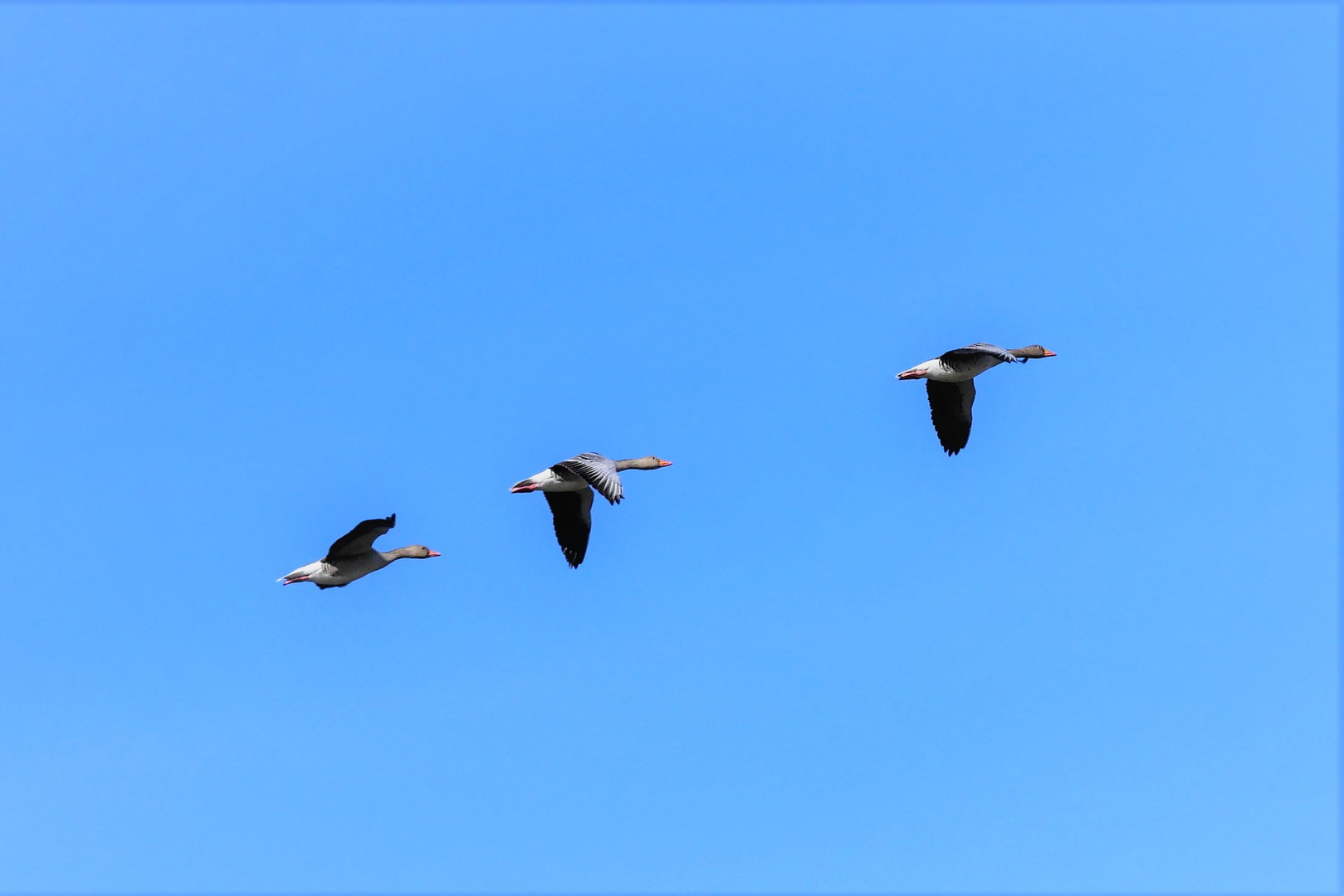 Abflug ins Wochenende