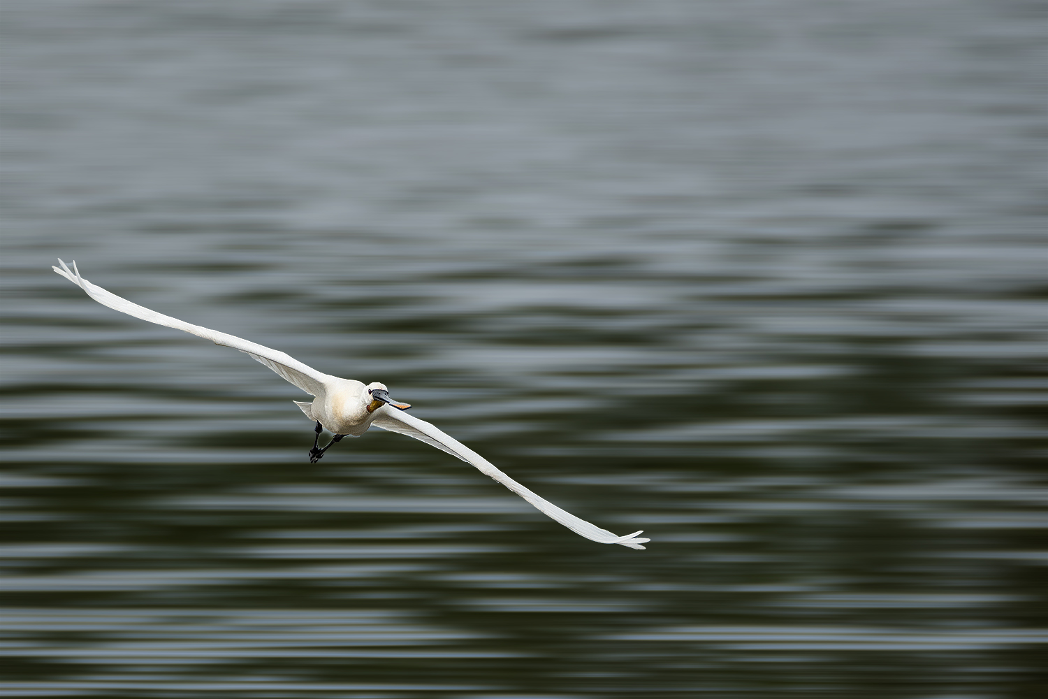 Abflug ins Wochenende