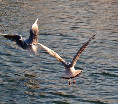 Abflug ins Wochenende