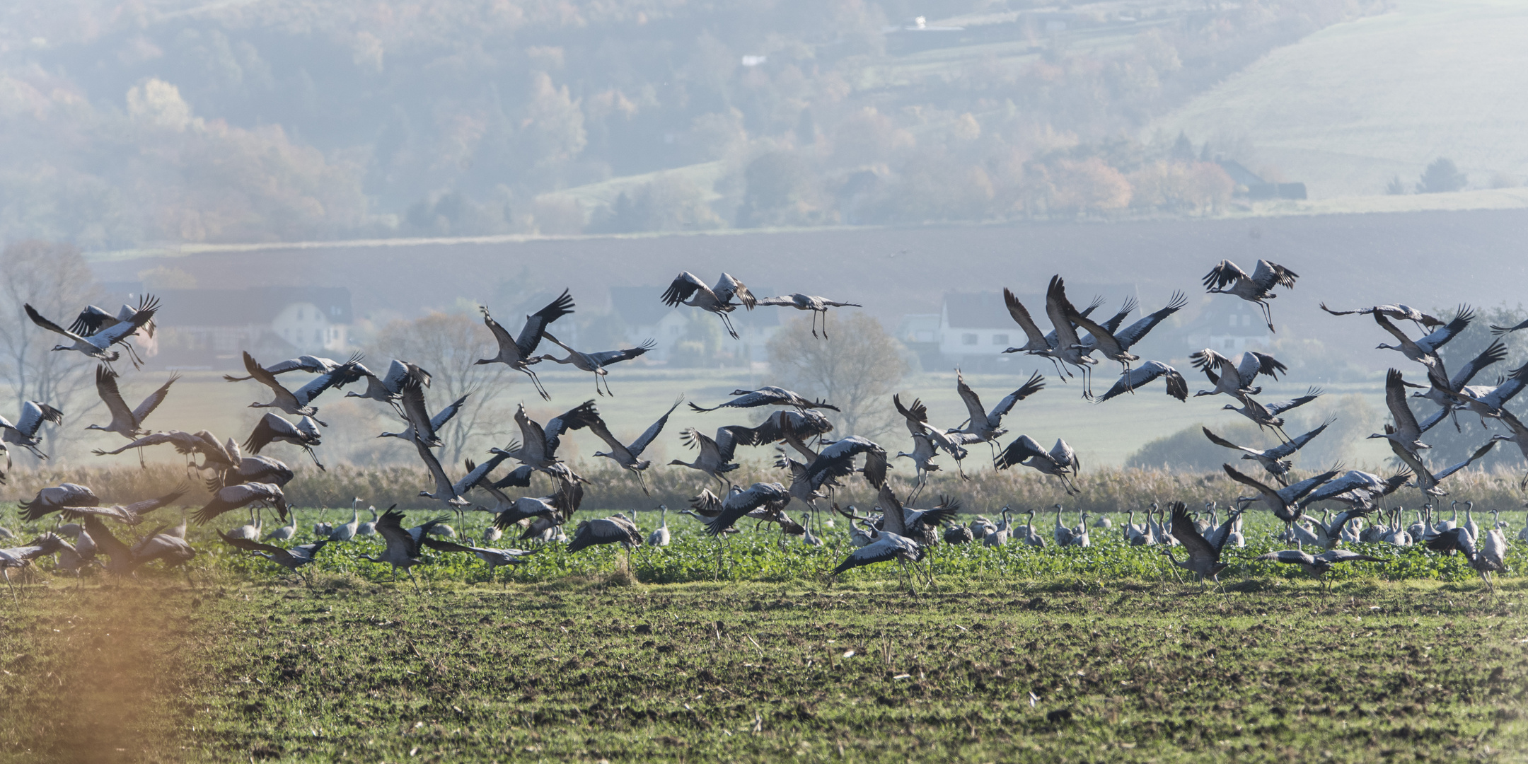 Abflug ins Wochenende