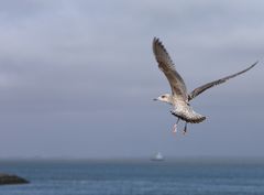 Abflug ins Wochenende 