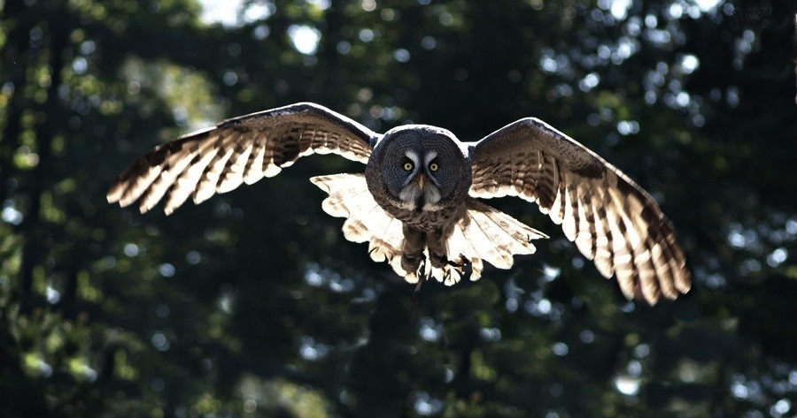 ABFLUG ...ins Wochenende !!!