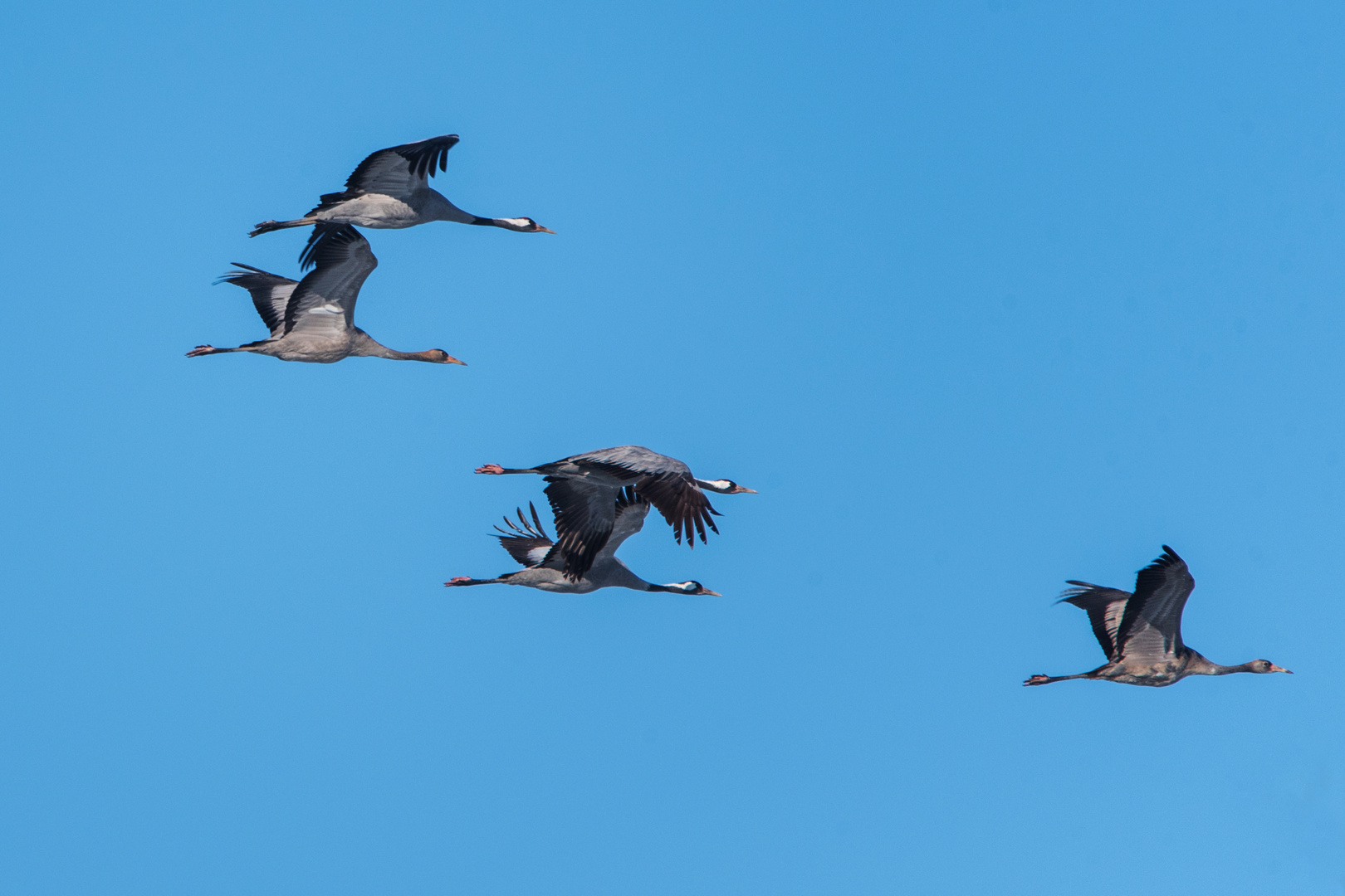 Abflug ins Wochenende