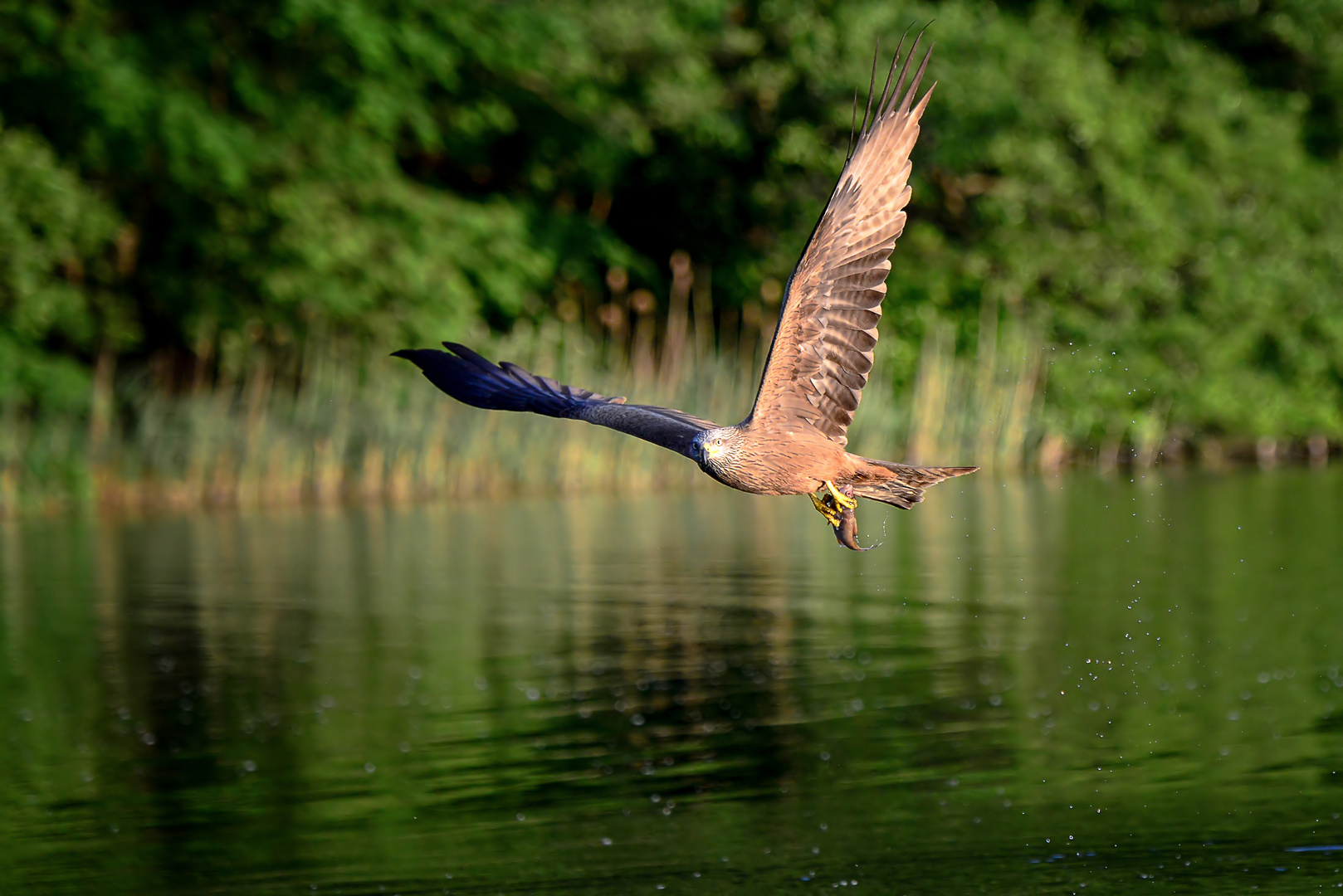 Abflug ins Wochenende