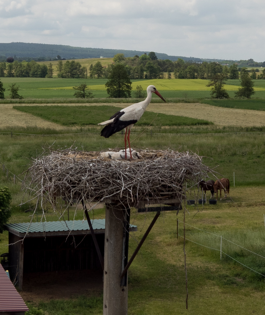 Abflug, jetzt kommt ihr mir zu nah......