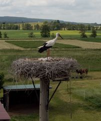 Abflug, jetzt kommt ihr mir zu nah......