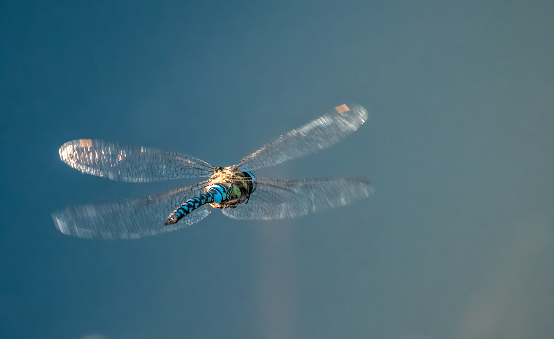 "ABFLUG LIBELLAIR"