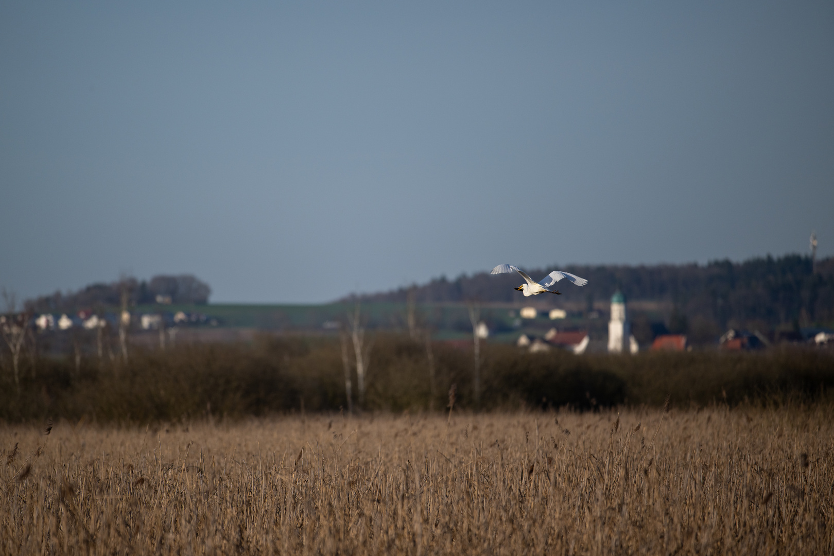 Abflug mit Beute