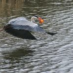 Abflug mit der Beute