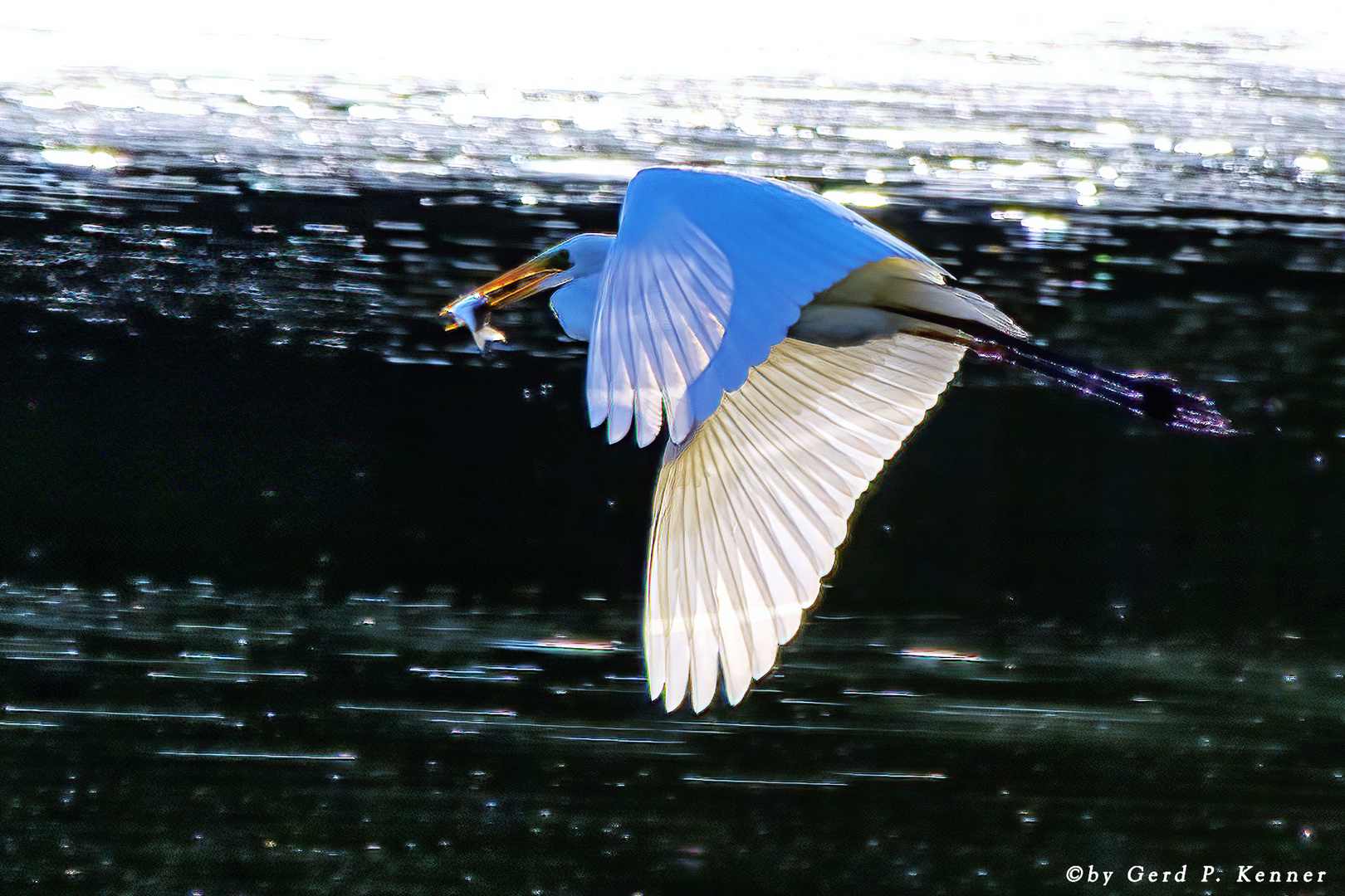 Abflug mit Lunch-Paket