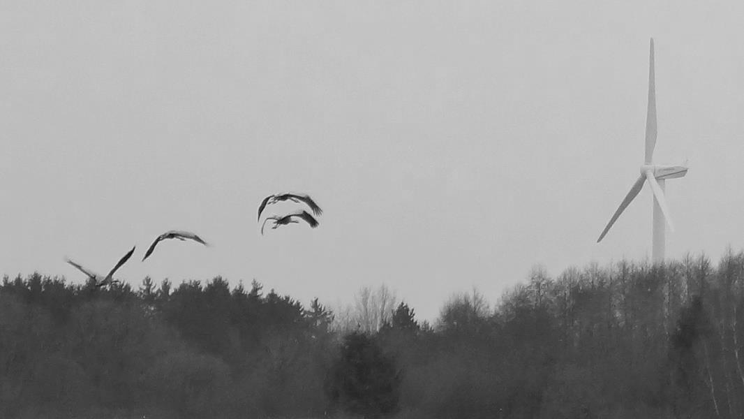 Abflug mit Rückenwind