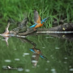 Abflug mit Spiegelbild