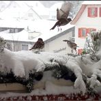 Abflug nach der Diskussion...