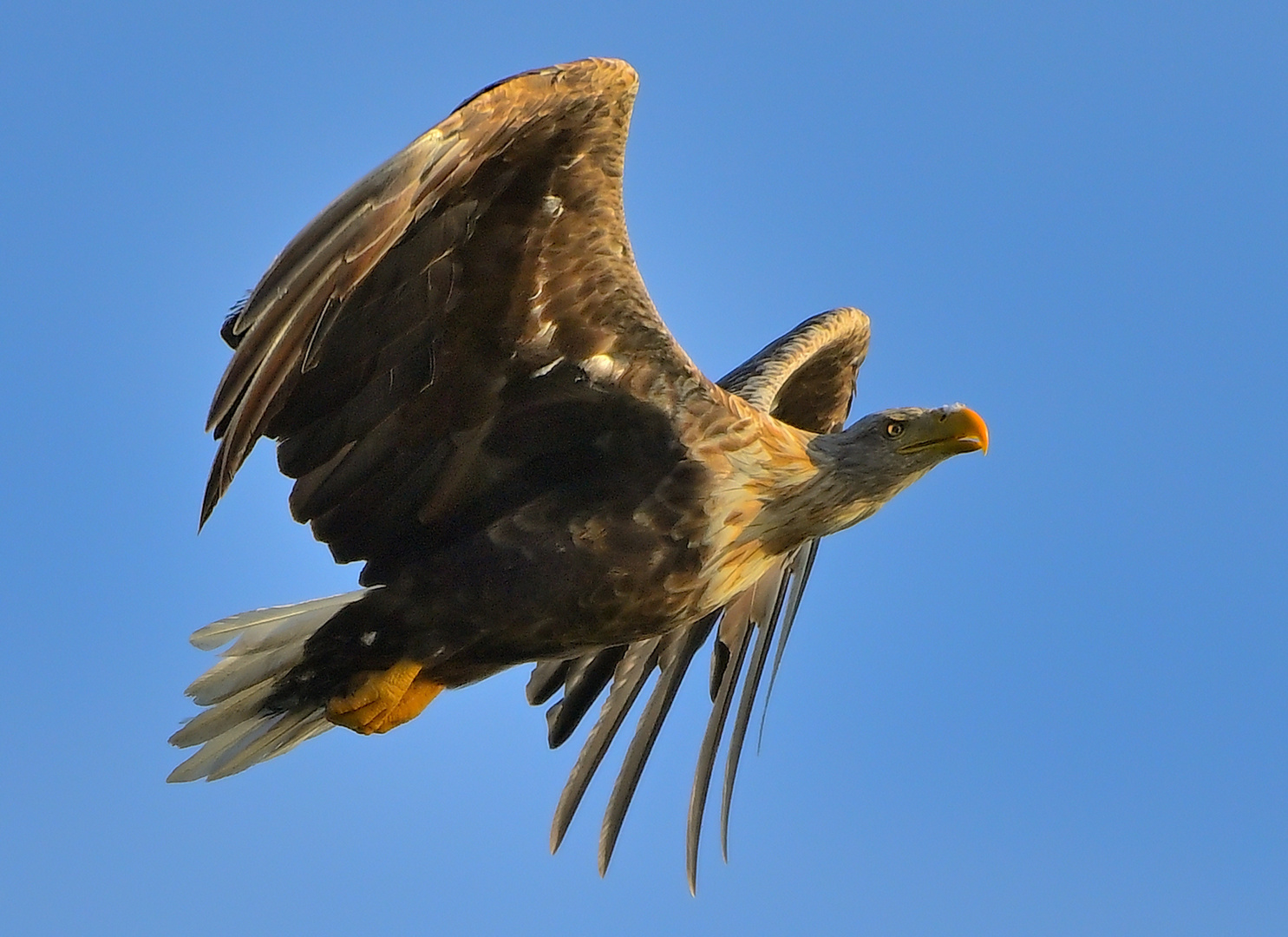 Abflug nach "Fehlgriff"!