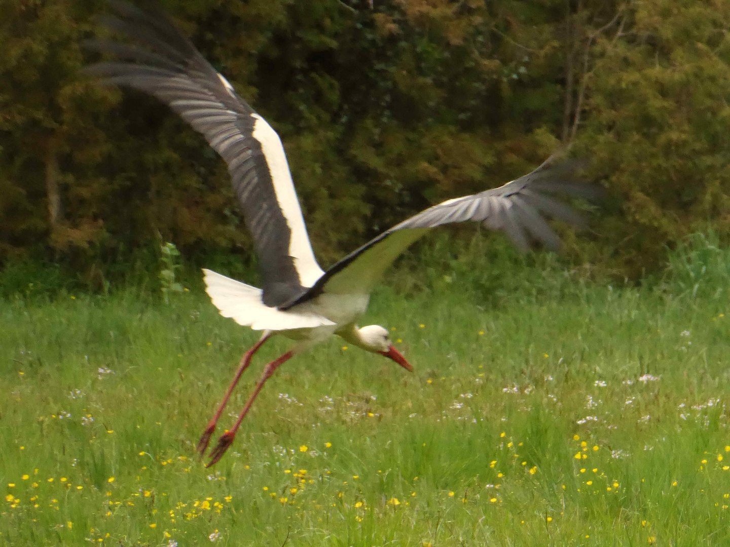 Abflug nach Hause