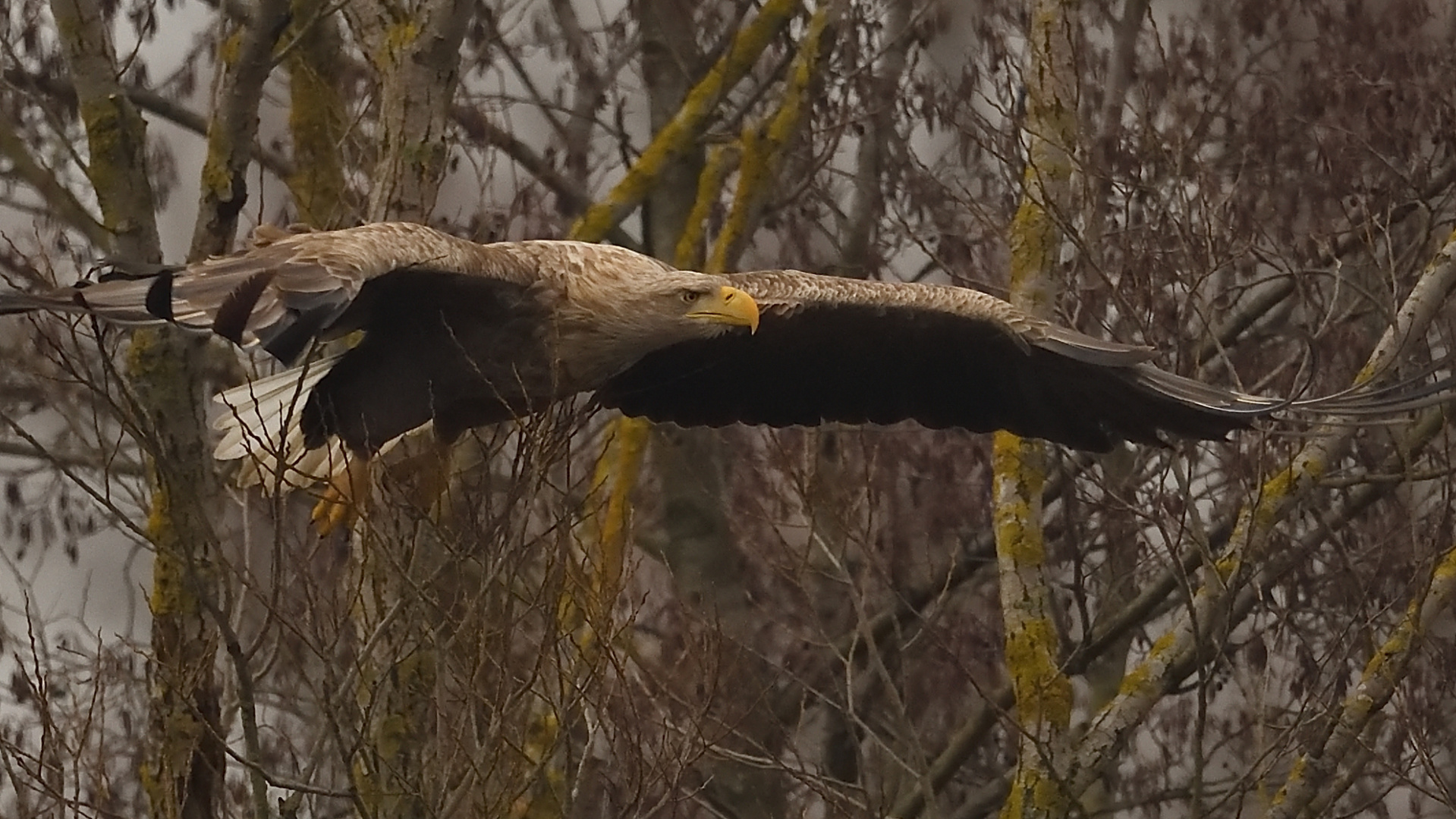 Abflug nach Ruhepause!