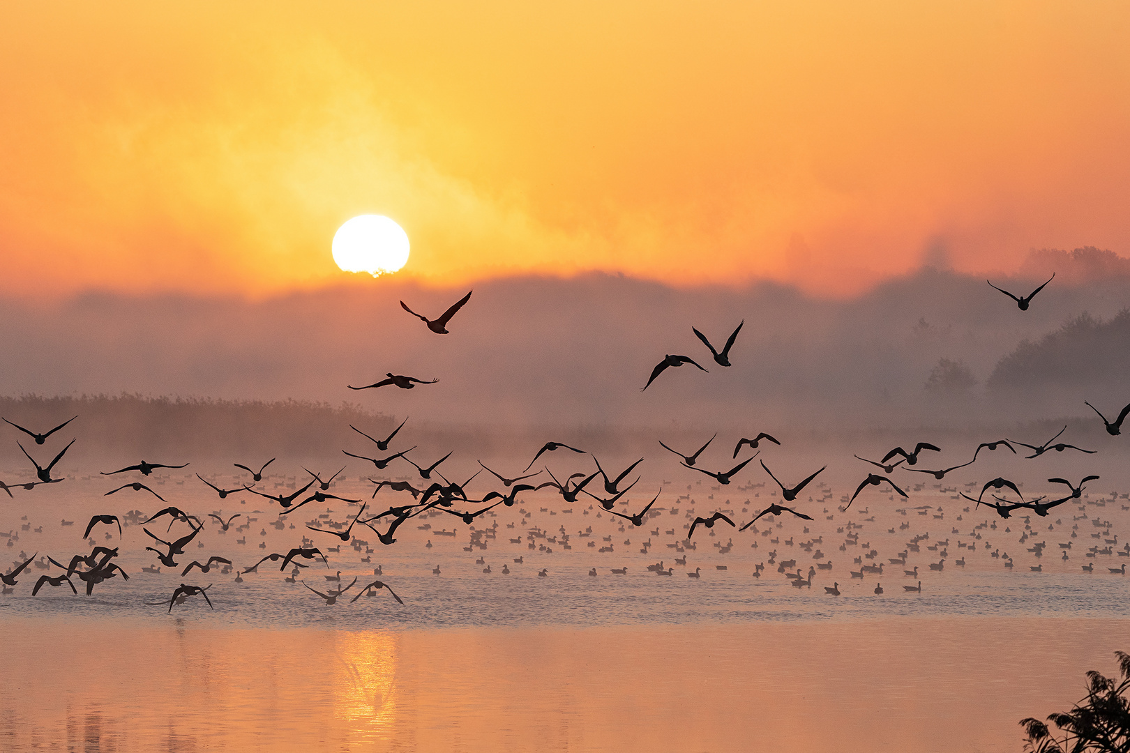 Abflug nach Sonnenaufgang am Strengsee