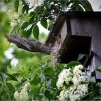 Abflug .... Nachschub