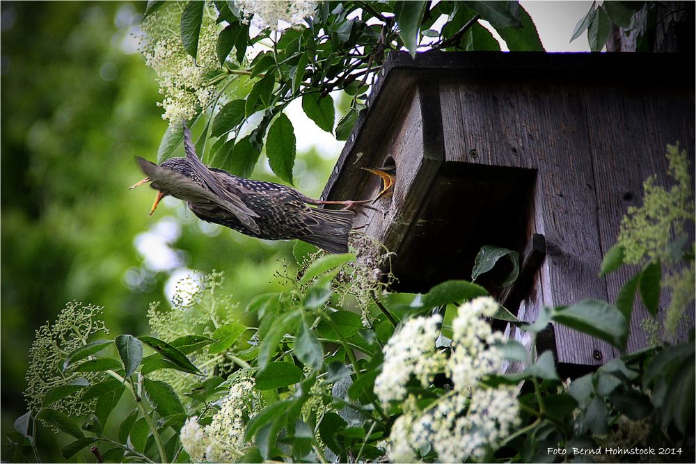 Abflug .... Nachschub