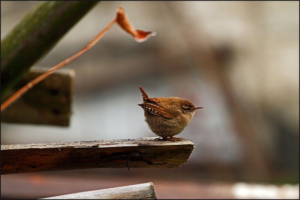 Abflug oder Absprung, wie nun... ?