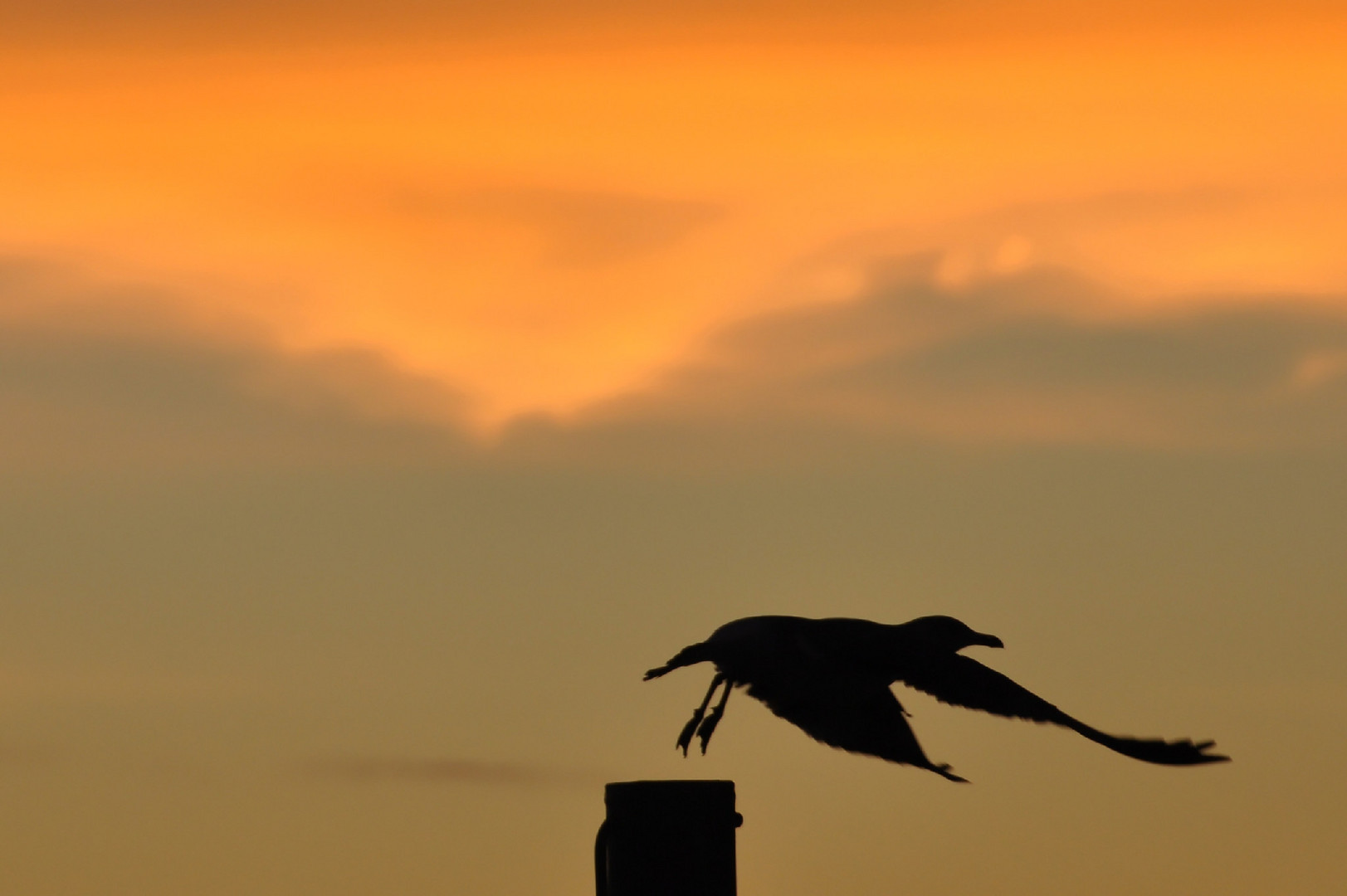 Abflug Richtung Nacht