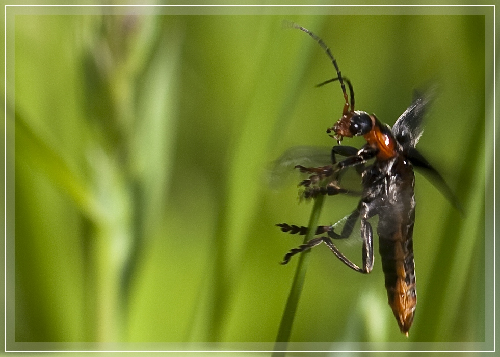 Abflug / Takeoff