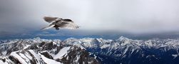 Abflug über die Alpen by Christa Kramer 