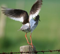 Abflug "über die Schulter"