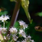 Abflug und Ankunft