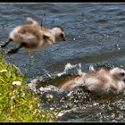 Abflug - und landen