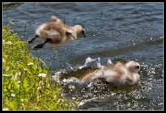 Abflug - und landen