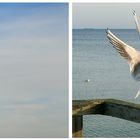 Abflug und Landung - Seebrücke Binz...