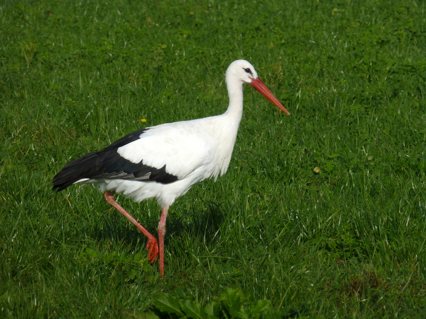 Abflug verpasst?