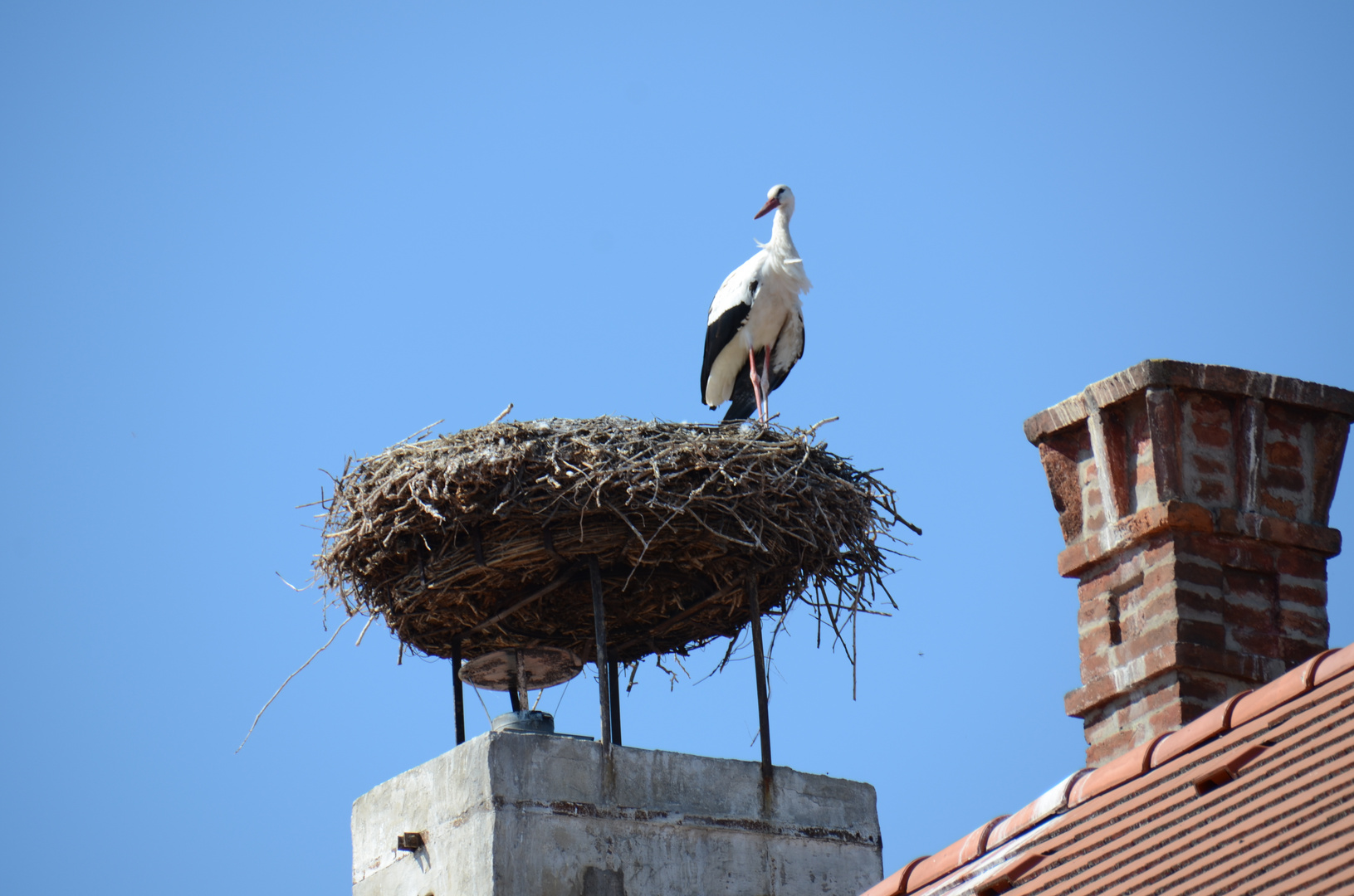 Abflug verpasst