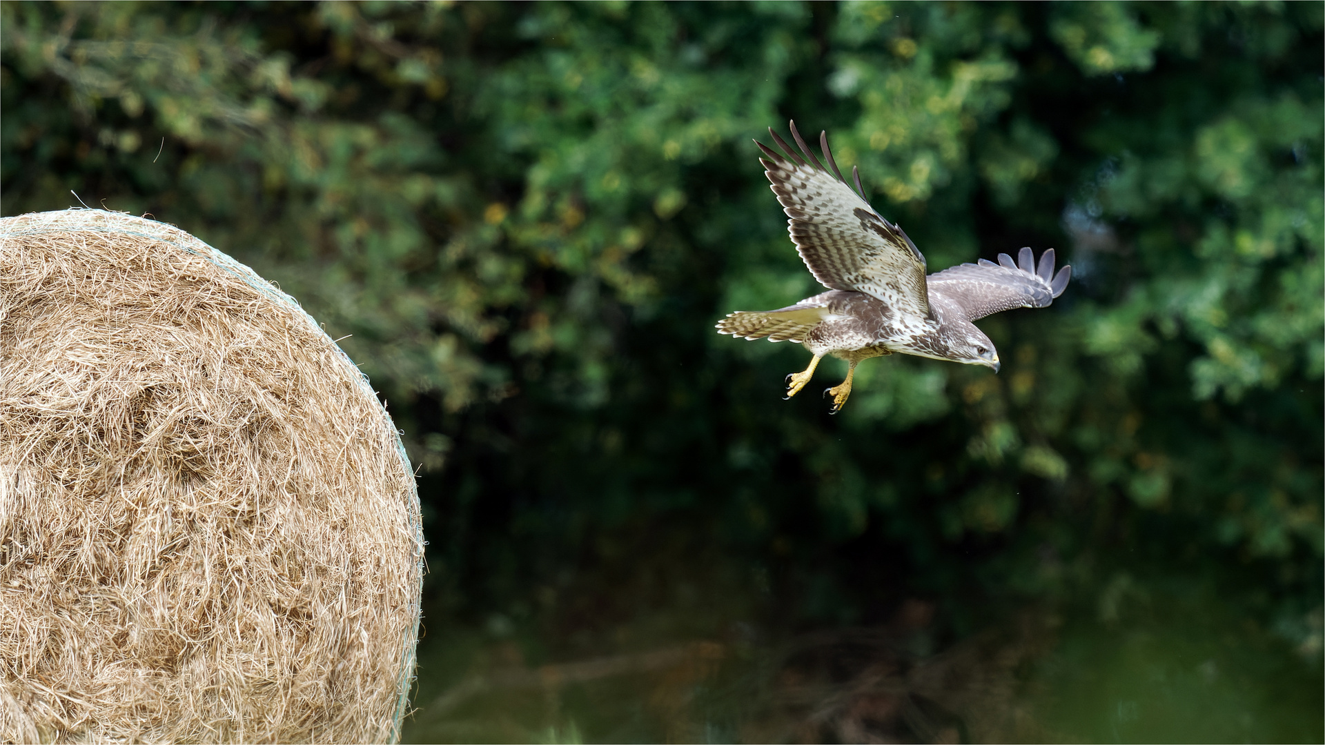 Abflug vom Strohrad  .....