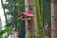 Abflug vom Vogelhaus