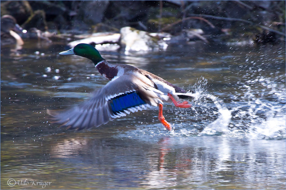 Abflug von Gate 1