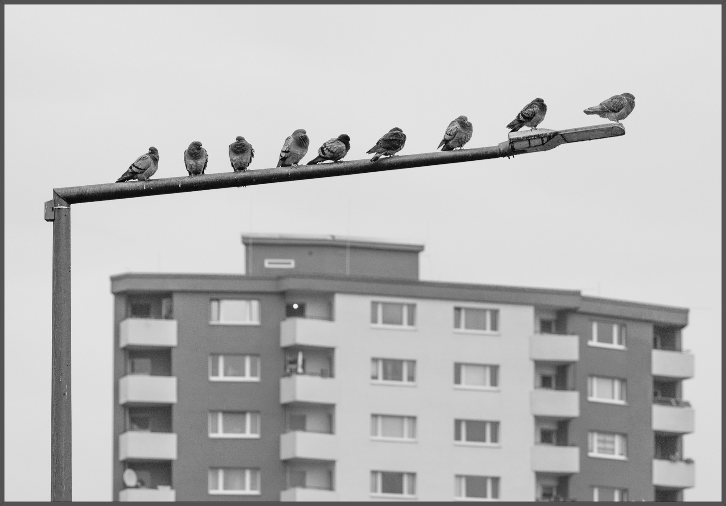 Abflug Warteschlange mit Sicherheitsabstand. 