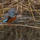 Abflug zum Fischfang!