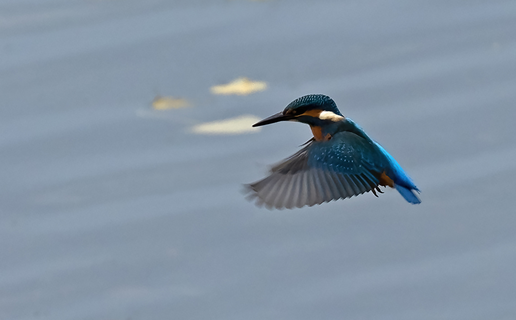 Abflug zum Fischfang