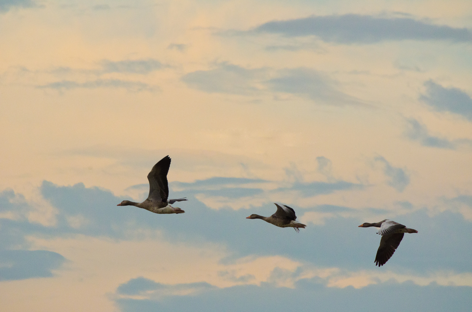 Abflug zum Nachtlager