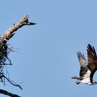 Abflug zum nächsten Fischfang