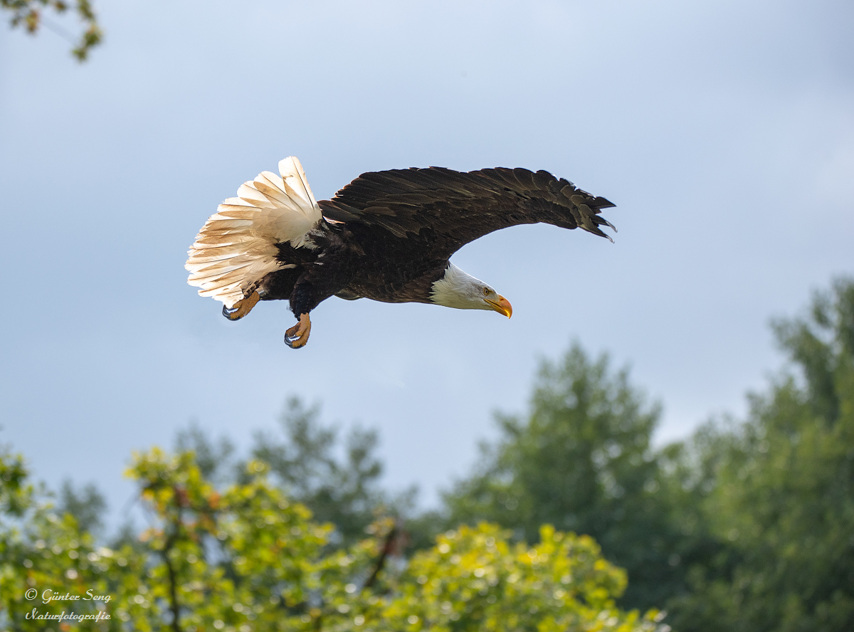 Abflug zum nächsten Ziel