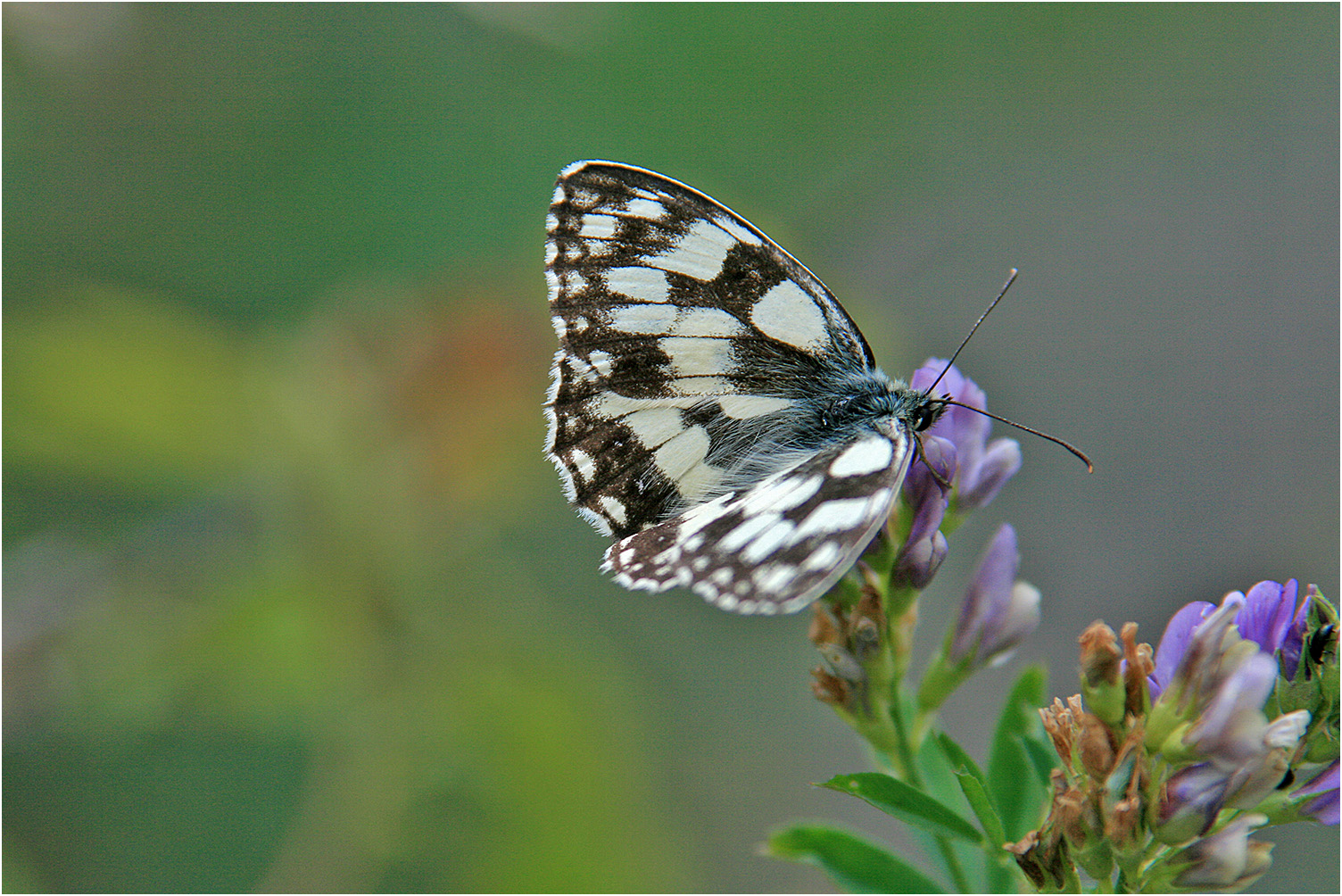 Abflugbereit